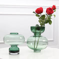 Load image into Gallery viewer, Lumina Transparent Vase