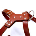 Load image into Gallery viewer, Genuine Leather Bowknot Harness
