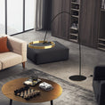 Load image into Gallery viewer, Elysian Industrial Halo Floor Lamp