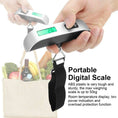 Load image into Gallery viewer, Digital Luggage Scale
