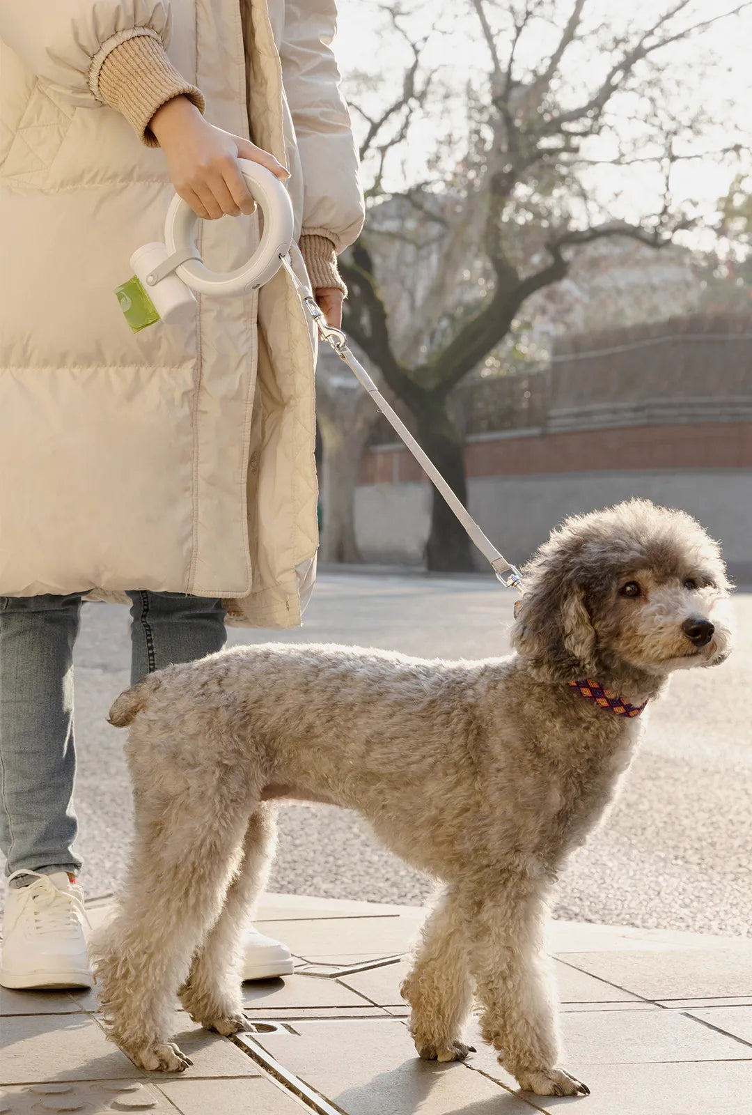 Modern Retractable Pet Leash with Rechargeable LED Light