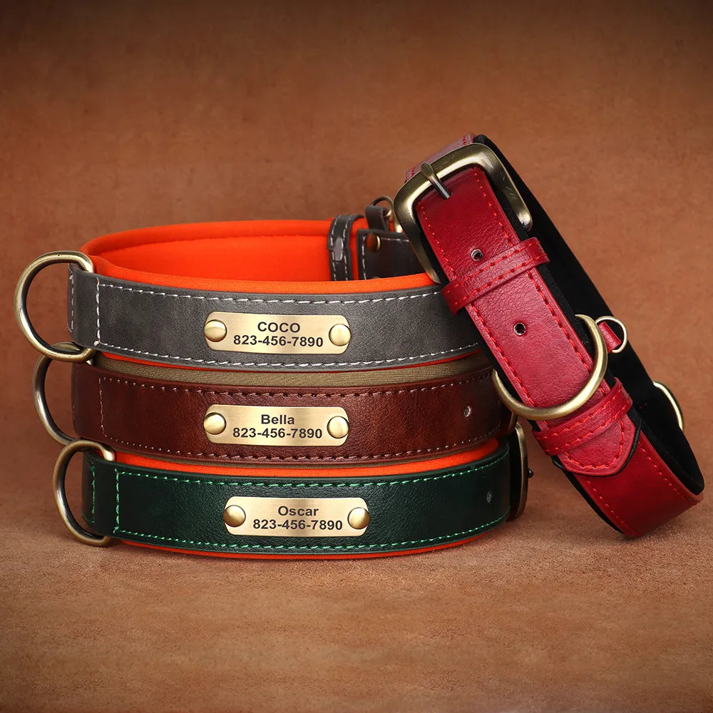 Personalized Leather Dog Collar & Leash Set